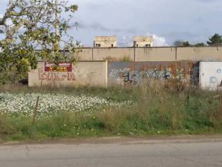 Zona