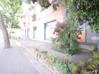 Zona