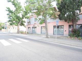 Zona