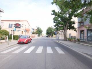 Zona