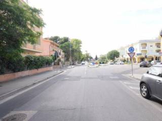 Zona