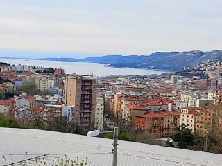 Vista