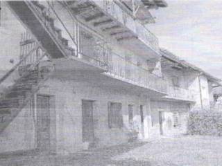 Zona
