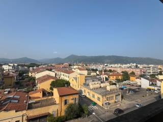 Vista