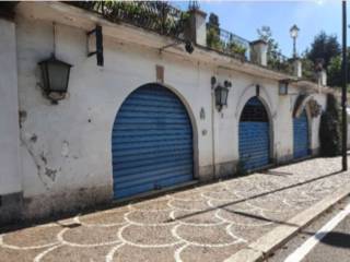 Zona