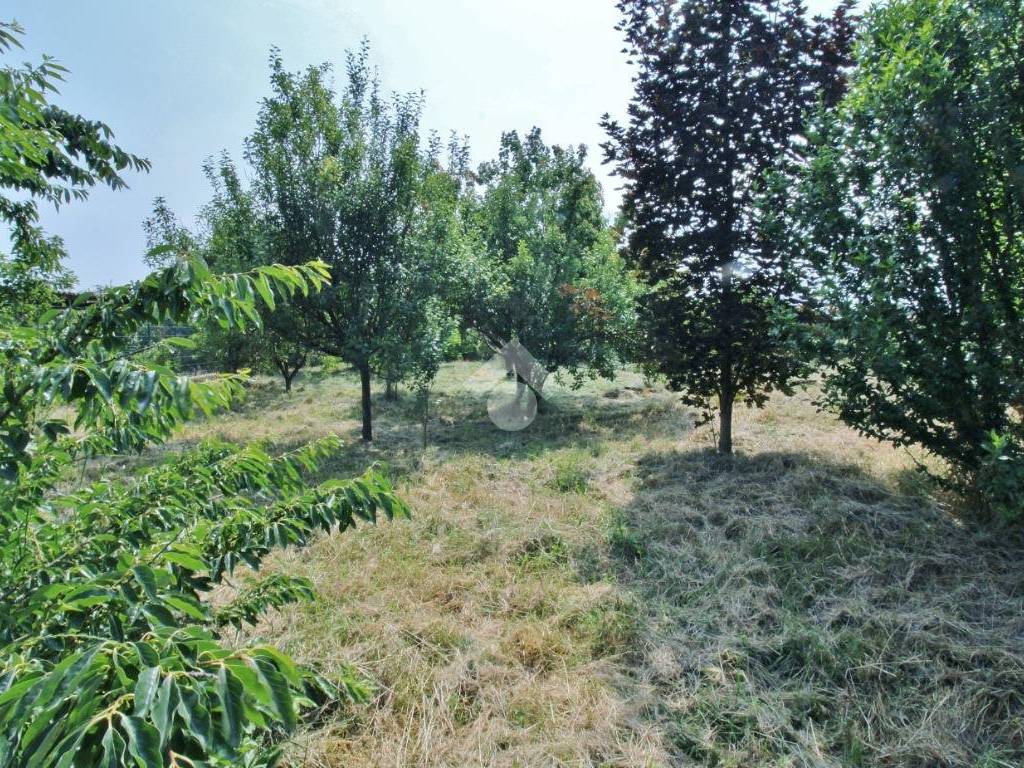 Terreno