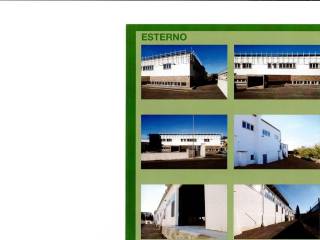 Ingresso