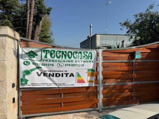 Zona