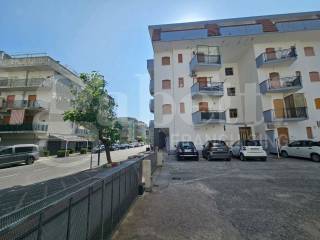 Zona