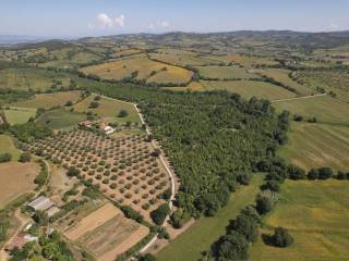 Vista