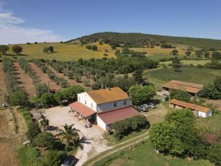 Vista
