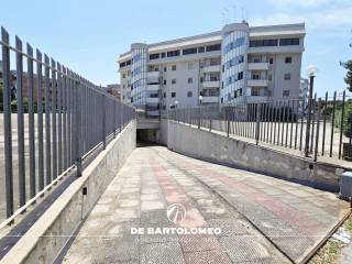 Zona