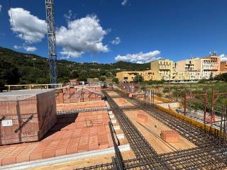 Zona