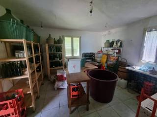Cantina