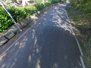 Zona