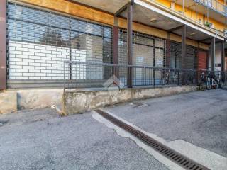 Zona