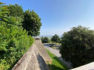 Vista
