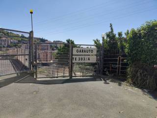 Ingresso