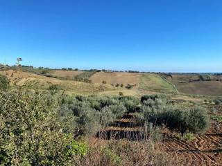 Terreno Colle delle Sentinelle - Guglionesi - foto 1
