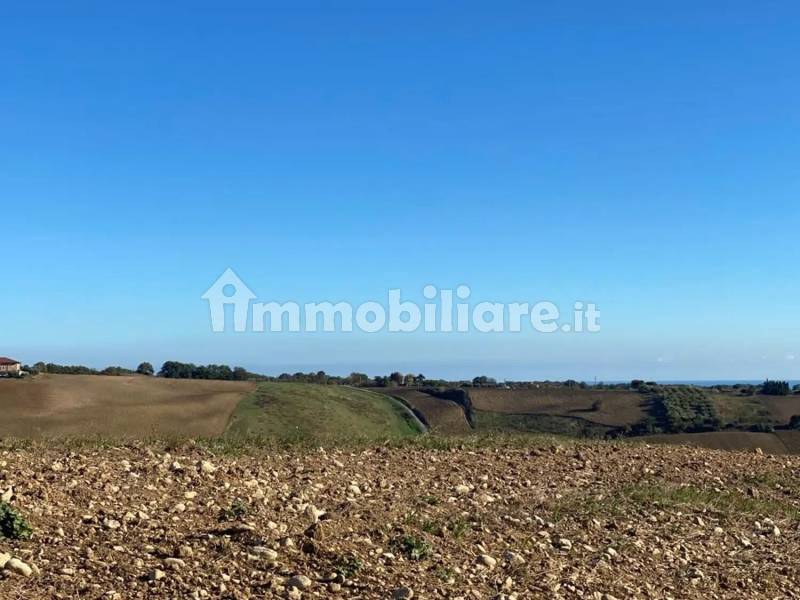 Terreno agricolo in vendita a Guglionesi - anteprima 3