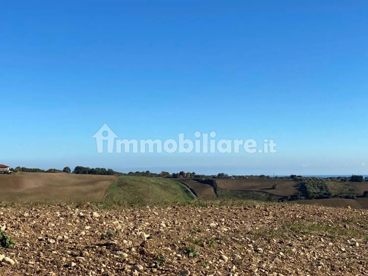 Terreno Agricolo 3,5 Ettari con Uliveto - Colle delle Sentinelle Guglionesi - foto 3