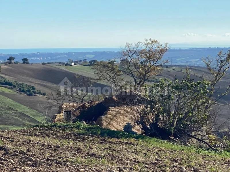 Terreno agricolo in vendita a Guglionesi - anteprima 4