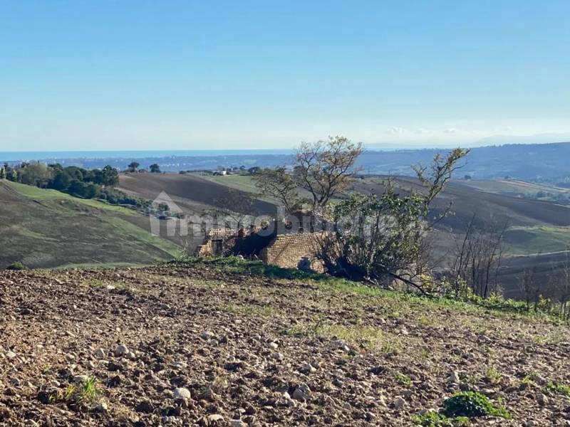 Terreno agricolo in vendita a Guglionesi - anteprima 5