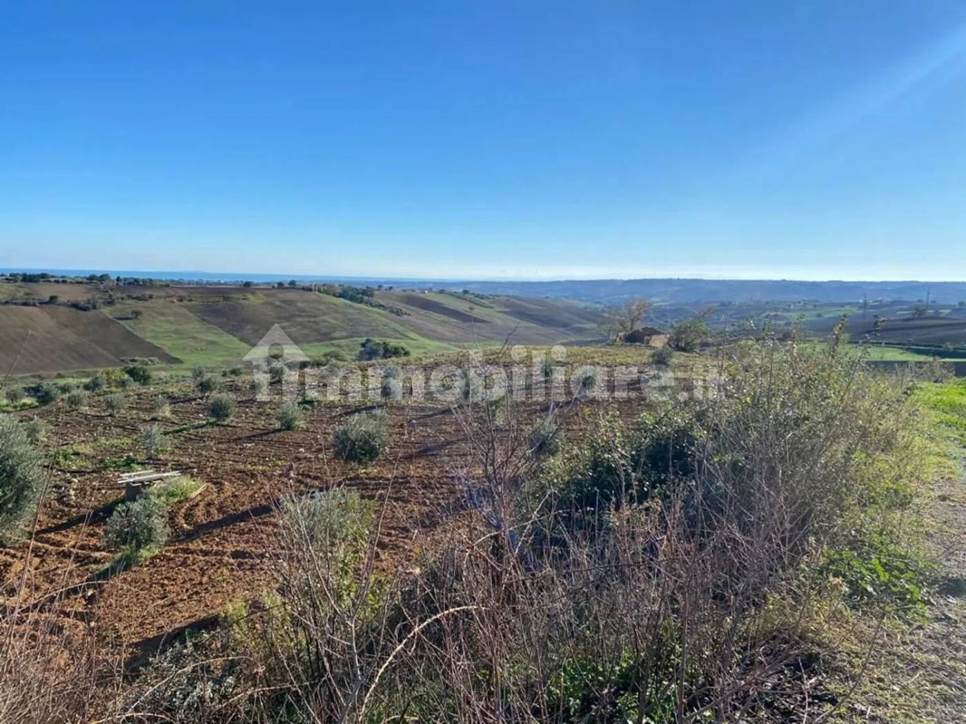 Terreno Agricolo 3,5 Ettari con Uliveto - Colle delle Sentinelle Guglionesi - foto 12