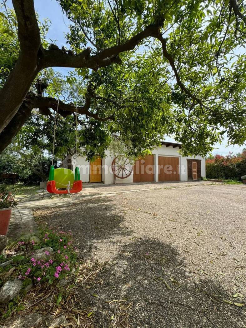 Struttura Ricettiva Agriturismo 247mq + 240mq D10 - Campomarino - foto 8