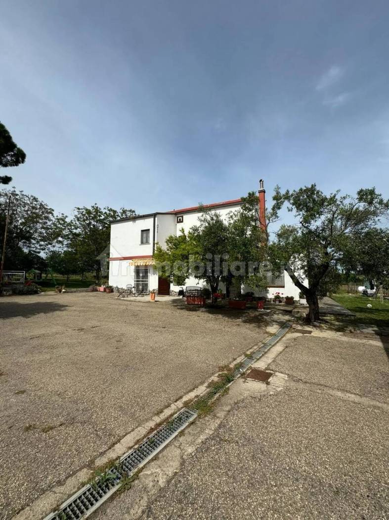 Struttura Ricettiva Agriturismo 247mq + 240mq D10 - Campomarino - foto 10