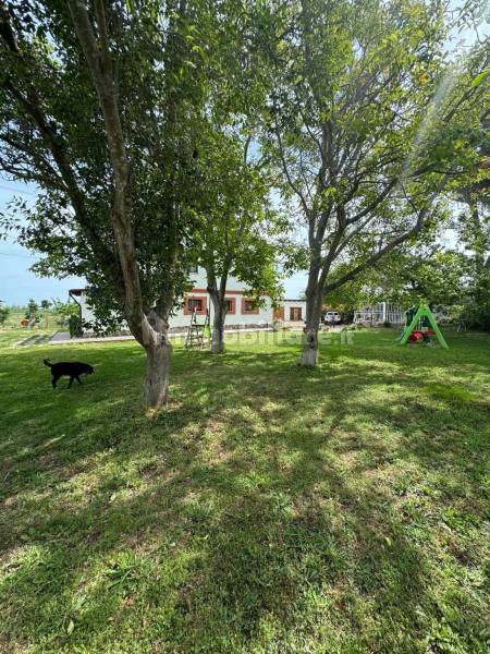 Agriturismo in vendita a Campomarino - anteprima 14