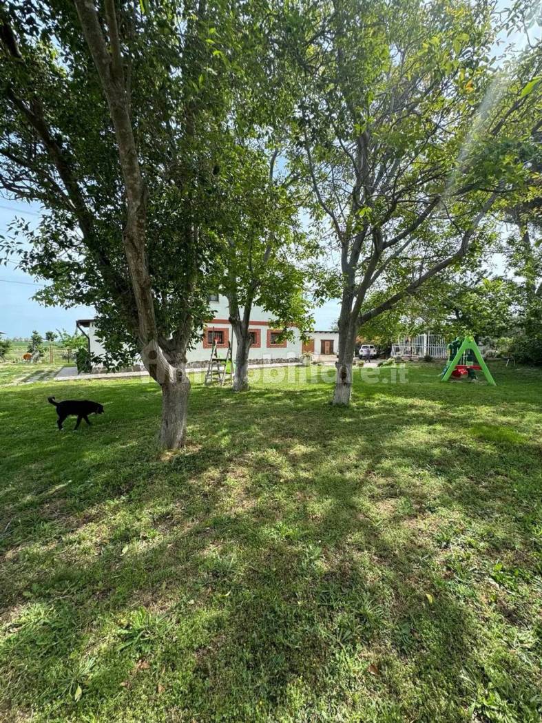 Struttura Ricettiva Agriturismo 247mq + 240mq D10 - Campomarino - foto 14