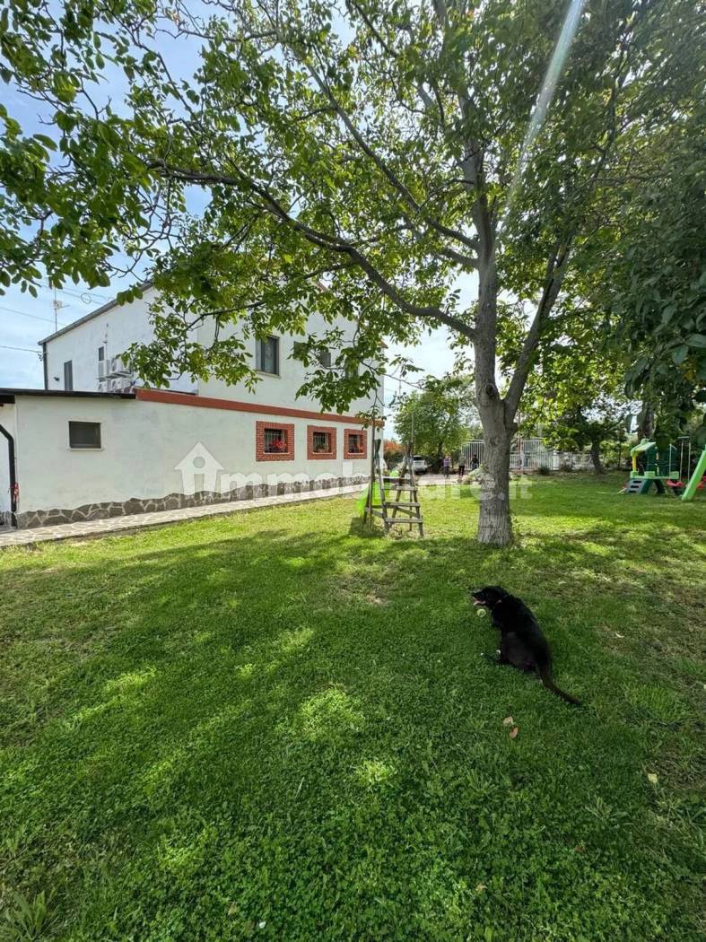 Struttura Ricettiva Agriturismo 247mq + 240mq D10 - Campomarino - foto 15
