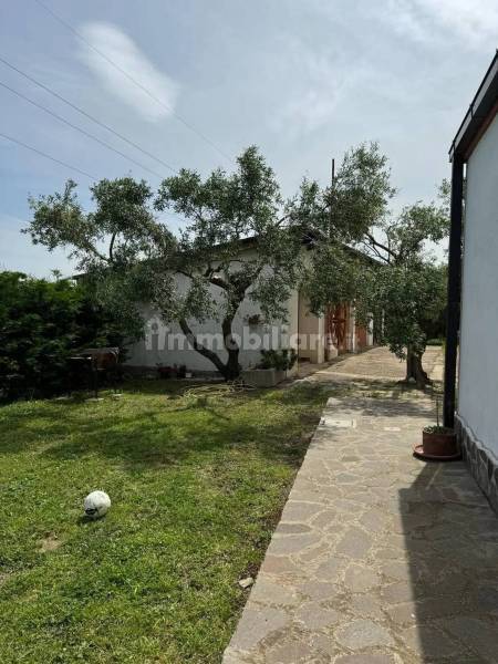 Agriturismo in vendita a Campomarino - anteprima 101