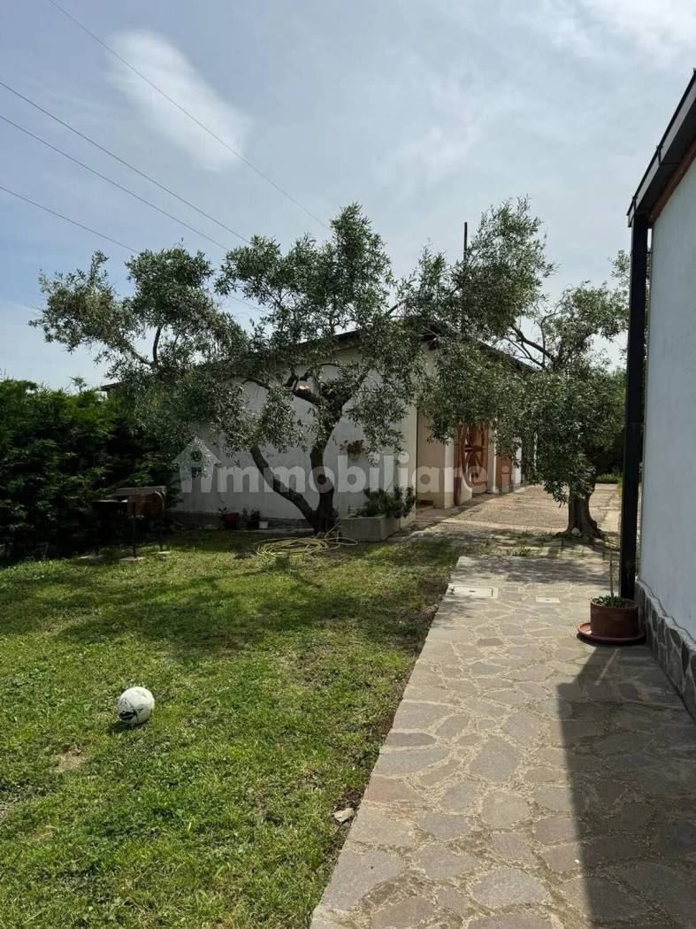 Struttura Ricettiva Agriturismo 247mq + 240mq D10 - Campomarino - foto 101