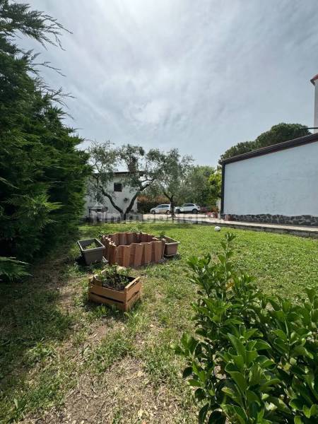 Agriturismo in vendita a Campomarino - anteprima 106