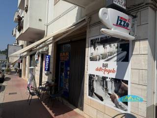 Zona