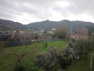 Vista