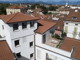 Vista