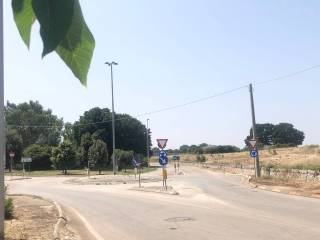 Zona