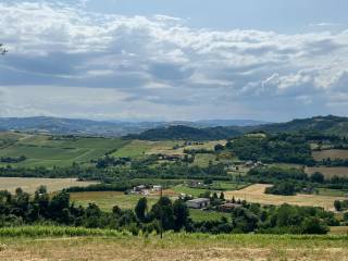 Vista
