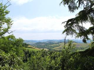 Vista
