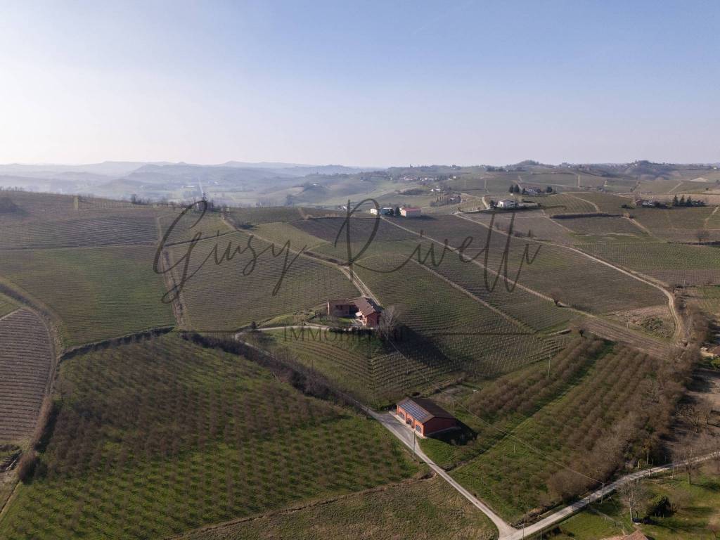 Vista