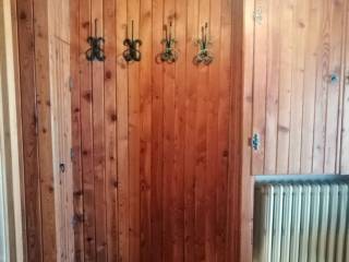 Ingresso