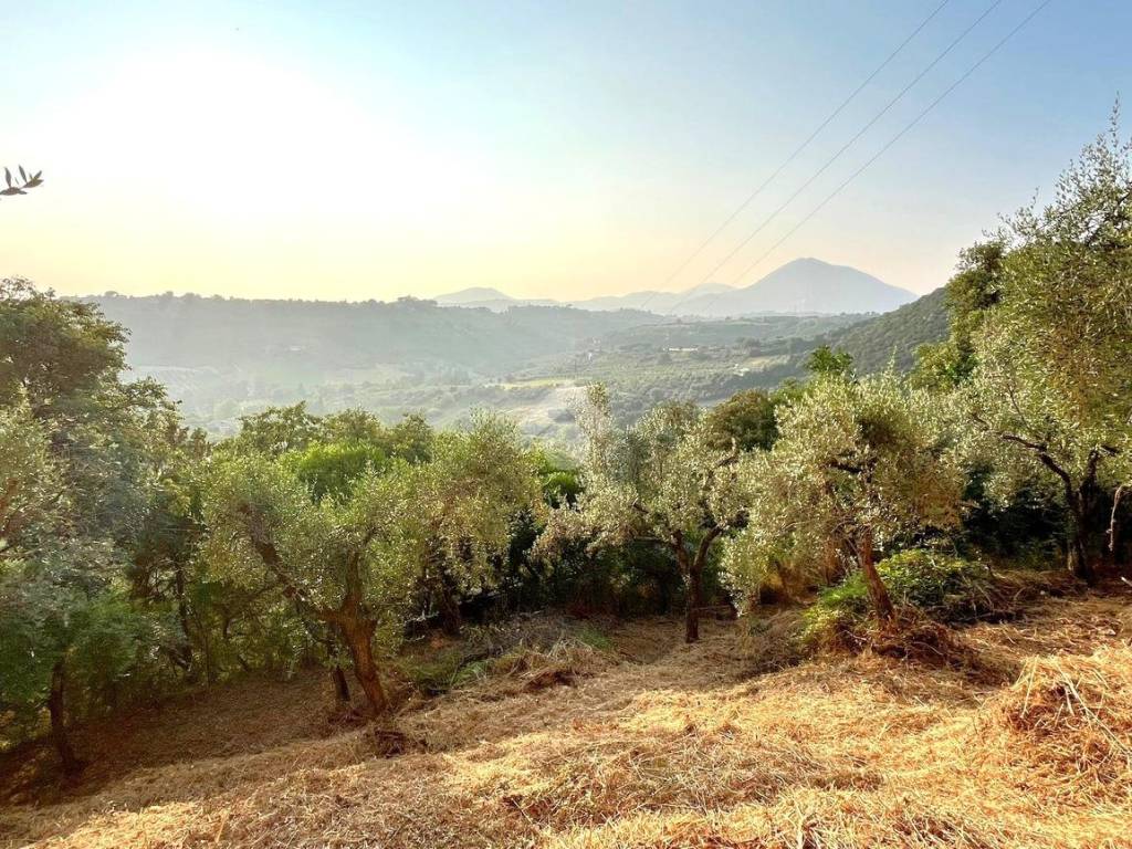 Terreno