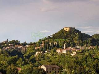 Vista
