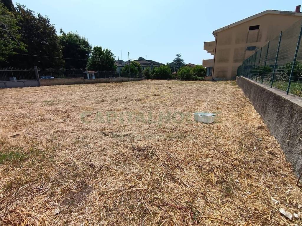 Terreno