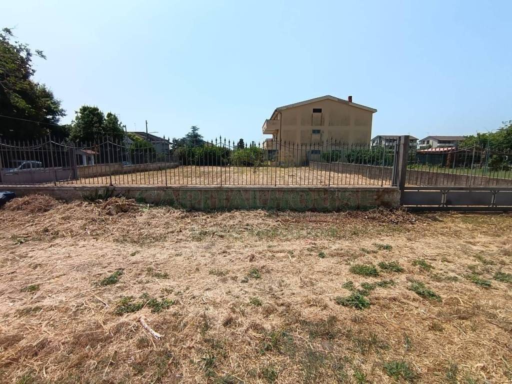 Terreno
