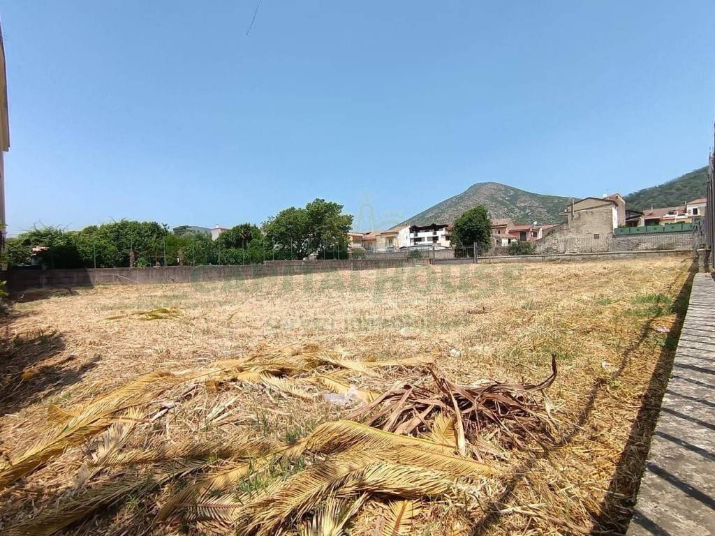 Terreno