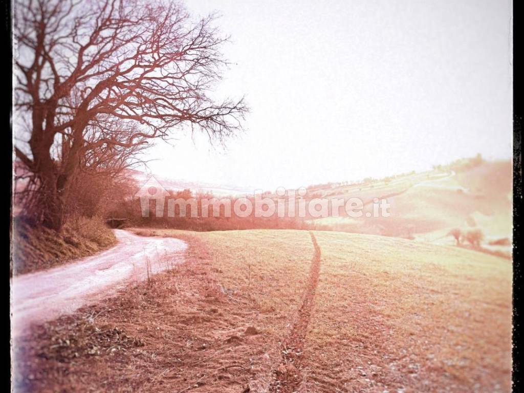 Terreno